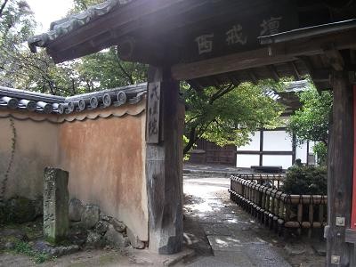 f:id:fujiwarakominka:20101024143945j:image f:id:fujiwarakominka:20101024143945j:image