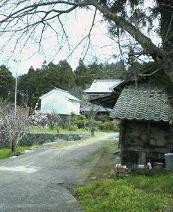 f:id:fujiwarakominka:20110320111300j:image