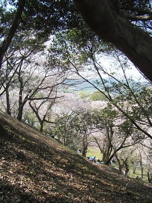 f:id:fujiwarakominka:20110410151123j:image f:id:fujiwarakominka:20110410151123j:image