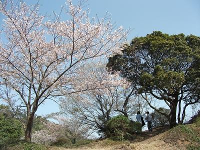 f:id:fujiwarakominka:20110410151215j:image f:id:fujiwarakominka:20110410151215j:image