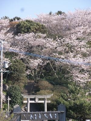 f:id:fujiwarakominka:20110413172634j:image f:id:fujiwarakominka:20110413172634j:image