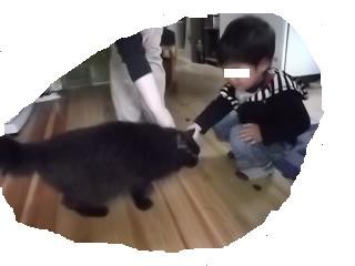 f:id:fujiwarakominka:20110619115047j:image