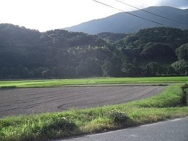 f:id:fujiwarakominka:20110731075732j:image