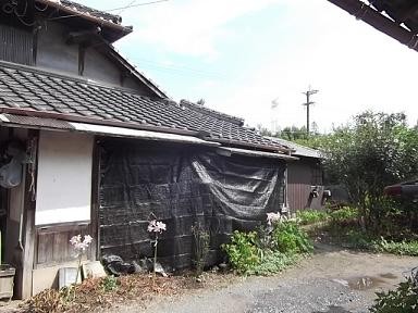f:id:fujiwarakominka:20110816145105j:image