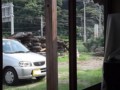 f:id:fujiwarakominka:20110829154401j:image:medium