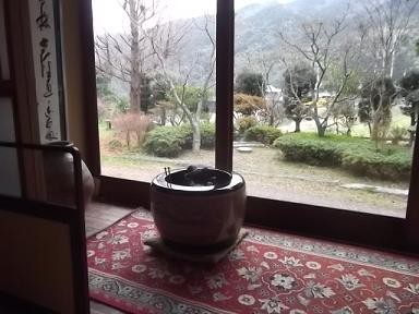 20120113123132