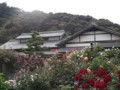 f:id:fujiwarakominka:20120525165017j:image:medium f:id:fujiwarakominka:20120525165017j:image:medium