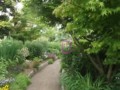 f:id:fujiwarakominka:20120525165411j:image:medium f:id:fujiwarakominka:20120525165411j:image:medium