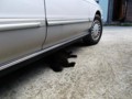 f:id:fujiwarakominka:20120718091801j:image:medium