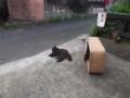 f:id:fujiwarakominka:20120720071654j:image:medium f:id:fujiwarakominka:20120720071654j:image:medium