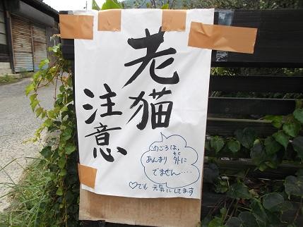 f:id:fujiwarakominka:20120830112622j:image