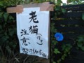 f:id:fujiwarakominka:20120901065951j:image:medium f:id:fujiwarakominka:20120901065951j:image:medium