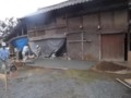 f:id:fujiwarakominka:20120925141752j:image:medium