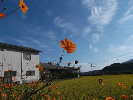 f:id:fujiwarakominka:20121008085245j:image f:id:fujiwarakominka:20121008085245j:image