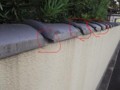 f:id:fujiwarakominka:20121026144705j:image:medium