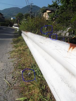 f:id:fujiwarakominka:20130513082138j:image f:id:fujiwarakominka:20130513082138j:image
