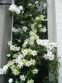 f:id:fujiwarakominka:20130516143042j:image:medium