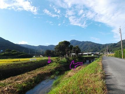 f:id:fujiwarakominka:20131006081519j:image f:id:fujiwarakominka:20131006081519j:image