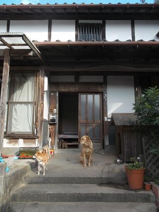 f:id:fujiwarakominka:20131207100103j:image