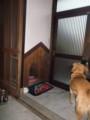 f:id:fujiwarakominka:20131222171838j:image:medium