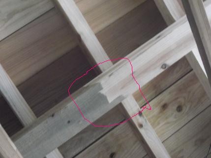 f:id:fujiwarakominka:20140113130105j:image f:id:fujiwarakominka:20140113130105j:image