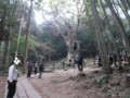 f:id:fujiwarakominka:20140125102252j:image:medium