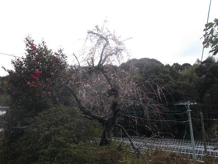 f:id:fujiwarakominka:20140208120251j:image f:id:fujiwarakominka:20140208120251j:image