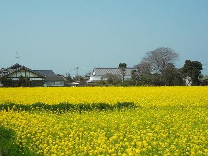 f:id:fujiwarakominka:20140323115834j:image