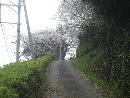 20140329094836