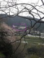 f:id:fujiwarakominka:20140331124815j:image:medium f:id:fujiwarakominka:20140331124815j:image:medium