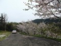 f:id:fujiwarakominka:20140331132301j:image:medium f:id:fujiwarakominka:20140331132301j:image:medium