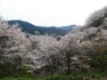 f:id:fujiwarakominka:20140331133726j:image:medium f:id:fujiwarakominka:20140331133726j:image:medium