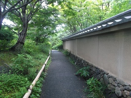 f:id:fujiwarakominka:20140713101239j:image f:id:fujiwarakominka:20140713101239j:image