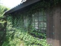 f:id:fujiwarakominka:20140721105447j:image:medium