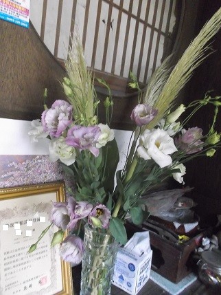 f:id:fujiwarakominka:20140813101534j:image f:id:fujiwarakominka:20140813101534j:image