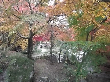 f:id:fujiwarakominka:20141123164414j:image