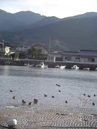 f:id:fujiwarakominka:20141226155848j:image