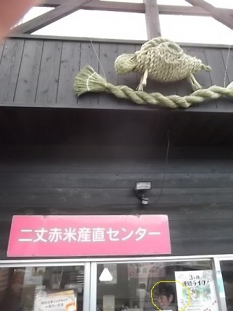 f:id:fujiwarakominka:20150110095609j:image f:id:fujiwarakominka:20150110095609j:image