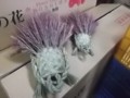 f:id:fujiwarakominka:20150110095730j:image:medium f:id:fujiwarakominka:20150110095730j:image:medium