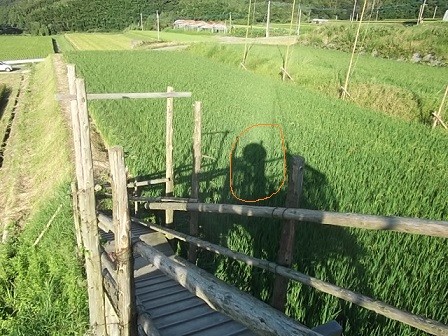 f:id:fujiwarakominka:20150911170747j:image