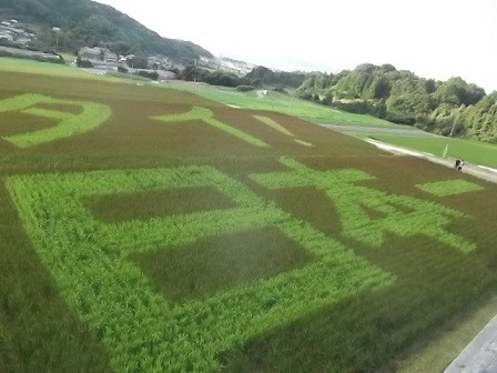 f:id:fujiwarakominka:20150914174712j:image