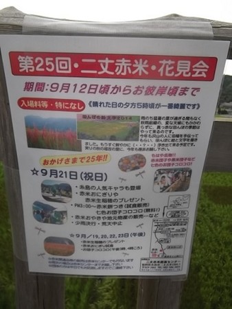 f:id:fujiwarakominka:20150914174729j:image