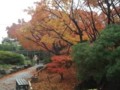 f:id:fujiwarakominka:20151213100352j:image:medium