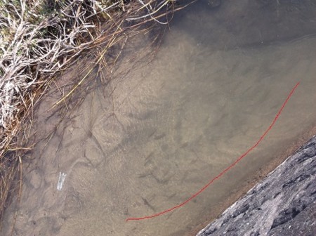 f:id:fujiwarakominka:20160101120143j:image f:id:fujiwarakominka:20160101120143j:image