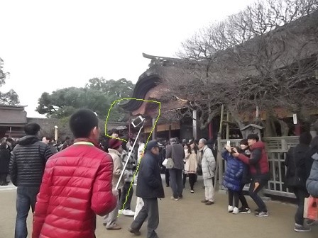 f:id:fujiwarakominka:20160110101313j:image
