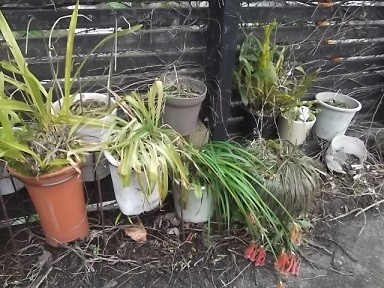 f:id:fujiwarakominka:20160127132621j:image f:id:fujiwarakominka:20160127132621j:image