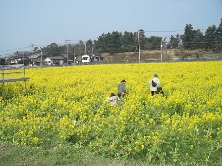 f:id:fujiwarakominka:20160227114631j:image