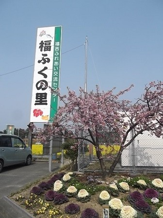 f:id:fujiwarakominka:20160227114718j:image