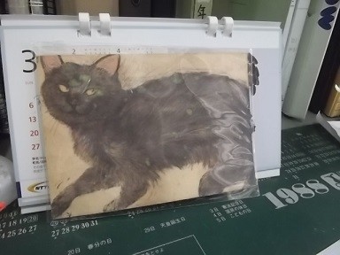 f:id:fujiwarakominka:20160301142724j:image f:id:fujiwarakominka:20160301142724j:image