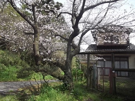 f:id:fujiwarakominka:20160402103333j:image f:id:fujiwarakominka:20160402103333j:image